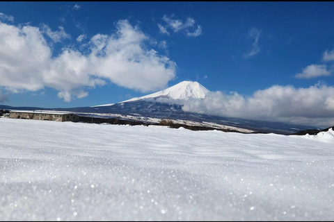 Mt Fuji Sightseeing Private tour with English Speaking Guide