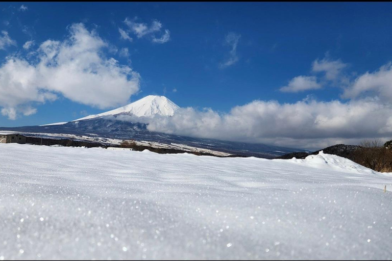 Mt Fuji Sightseeing Private tour with English Speaking Guide