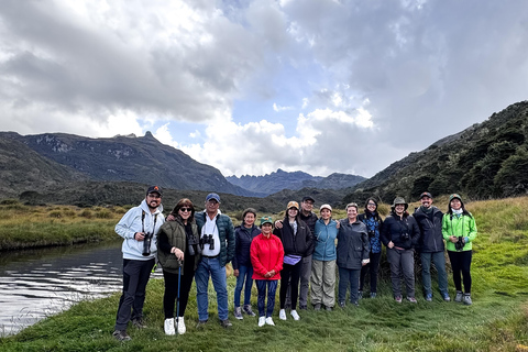 Private sight Tour Chingaza Paramo from Bogota, Andean BearPrivate sighting Tour in Chingaza Paramo, Andean Bear