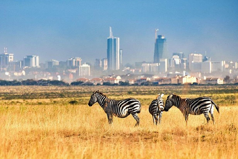 Parque Nacional de Nairobi: Excursión Privada de Medio Día o Día Completo con EscalaExcursión de un día completo en escala y visita al Centro de Jirafas - Con entrada