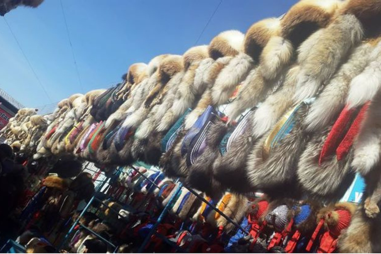 Ulaanbaatar: Guided City Tour with Private Transport