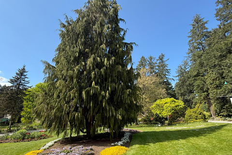 Vancouver: Hop-On Hop-Off City Tour by Car, Small Group