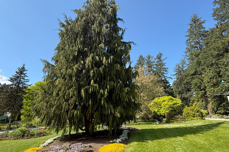 Vancouver: Hop-On Hop-Off City Tour by Car, Small Group