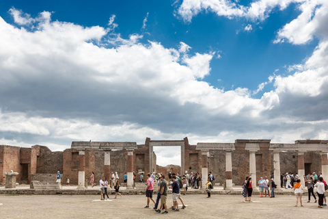 Rome: Pompeii Day Trip Guided Tour with New Excavation Areas