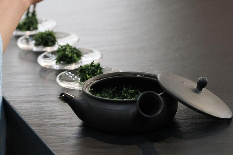 Hiroshima: Castle & Samurai Heritage Trail Guided Tour