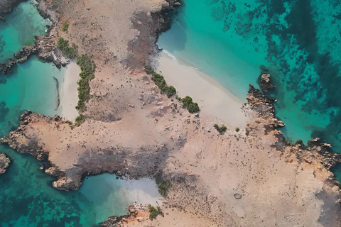 Muscat: Dimaniyat Islands Snorkeling Trip with Hotel Pickup Afternoon Dimaniyat Islands Snorkeling Trip ( Hotel Pickup )