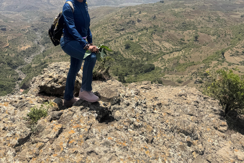 From Addis: Blue Nile Gorge, Baboons & Waterfalls
