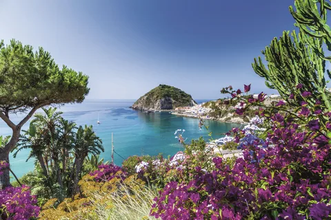 From Naples: Ischia Private Island Tour with Lunch