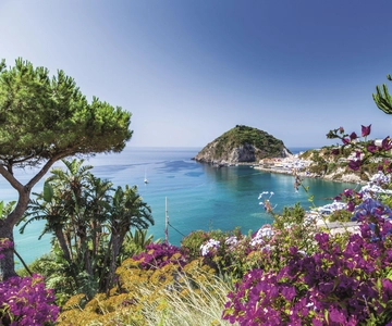 Vanuit Napels: Ischia privétour met lunch