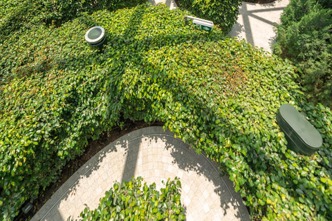 Singapore: Jewel Changi Airport Ticket Mastercard ® Canopy Bridge + Complimentary Canopy Park