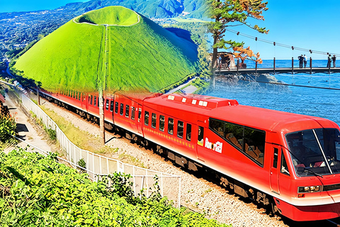 Small Group Day Tour:Omuro Mountain & the Izu Scenic Railway Hotel Transfer Option
