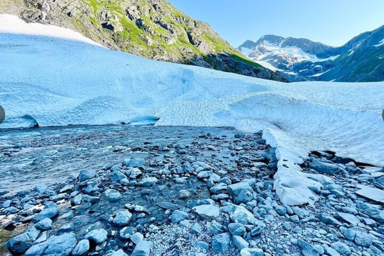 Glacier View & Wildlife Anchorage Adventure Tour