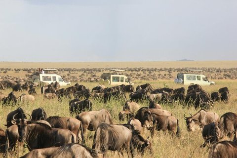 Från Nairobi: 8-dagars safari med det bästa av Kenya och Tanzania