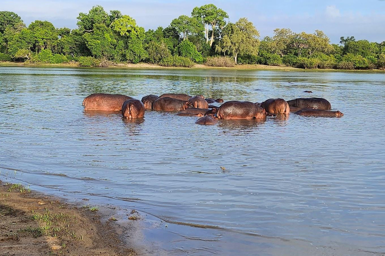 Tanzania: Safari di 9 giorni con le migliori sistemazioni