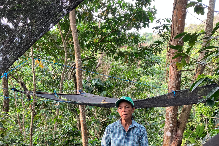 Minca: Fairtrade, coffee & cocoa, organic farm - ES/EN/DE Sunset tour