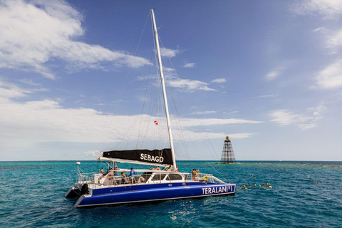 Key West: Snorkel em catamarã com mariscos e open bar