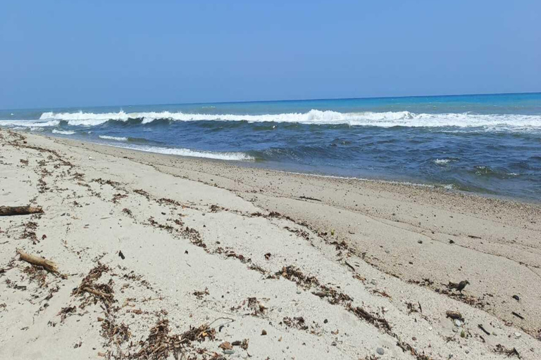 Santa Marta: Palomino Day Trip with Breakfast & Lunch