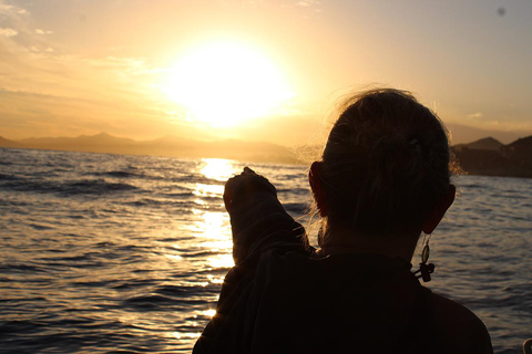 San Jose del Cabo Sunset Whale Watching