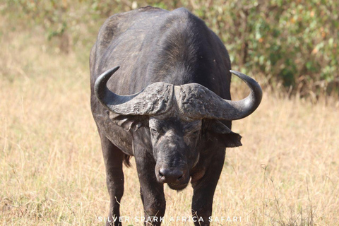 Menseneter: Tsavo East Park, Amboseli Reserve, L Nakuru Park