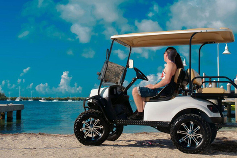 Fort Lauderdale: 4 People Golf Cart Rental 4 Hours Rental