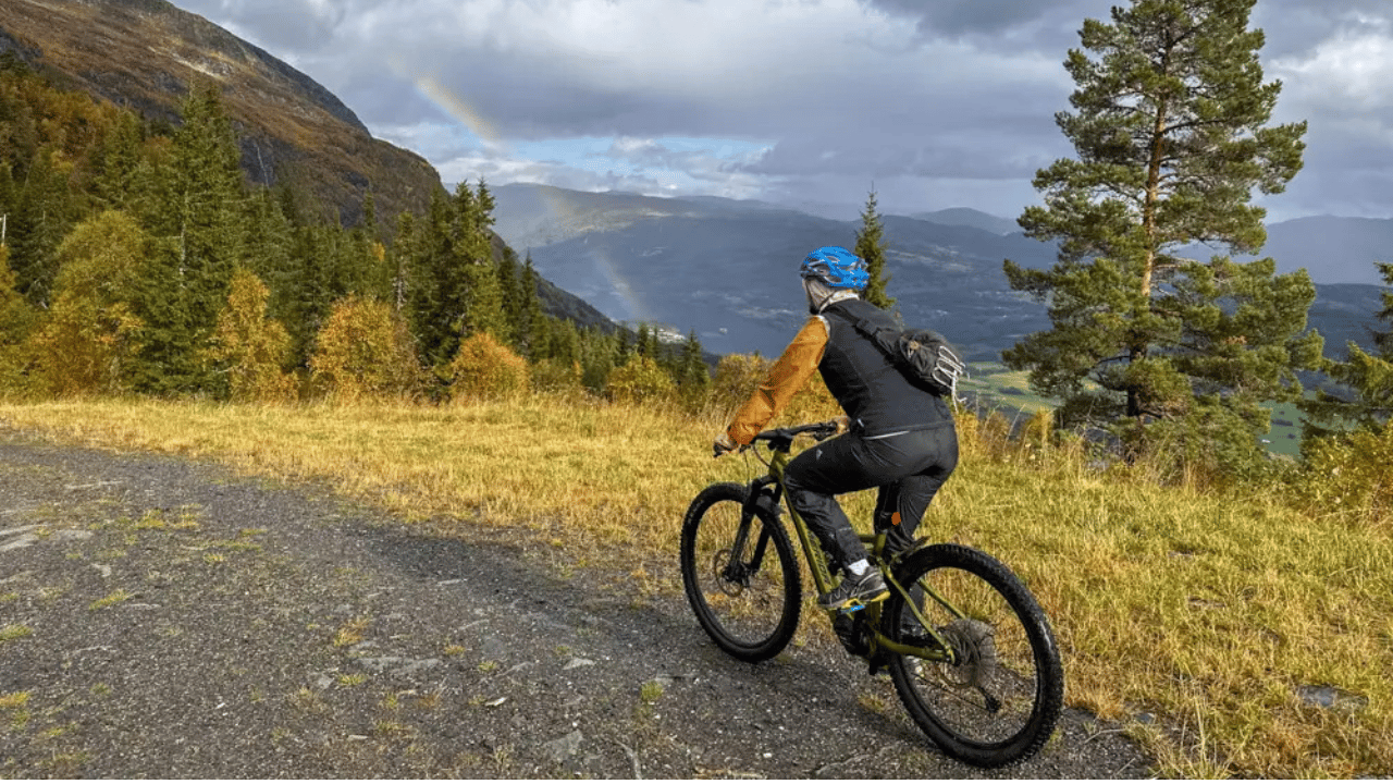 Verleih | E-Mountainbike - Vollgefedert