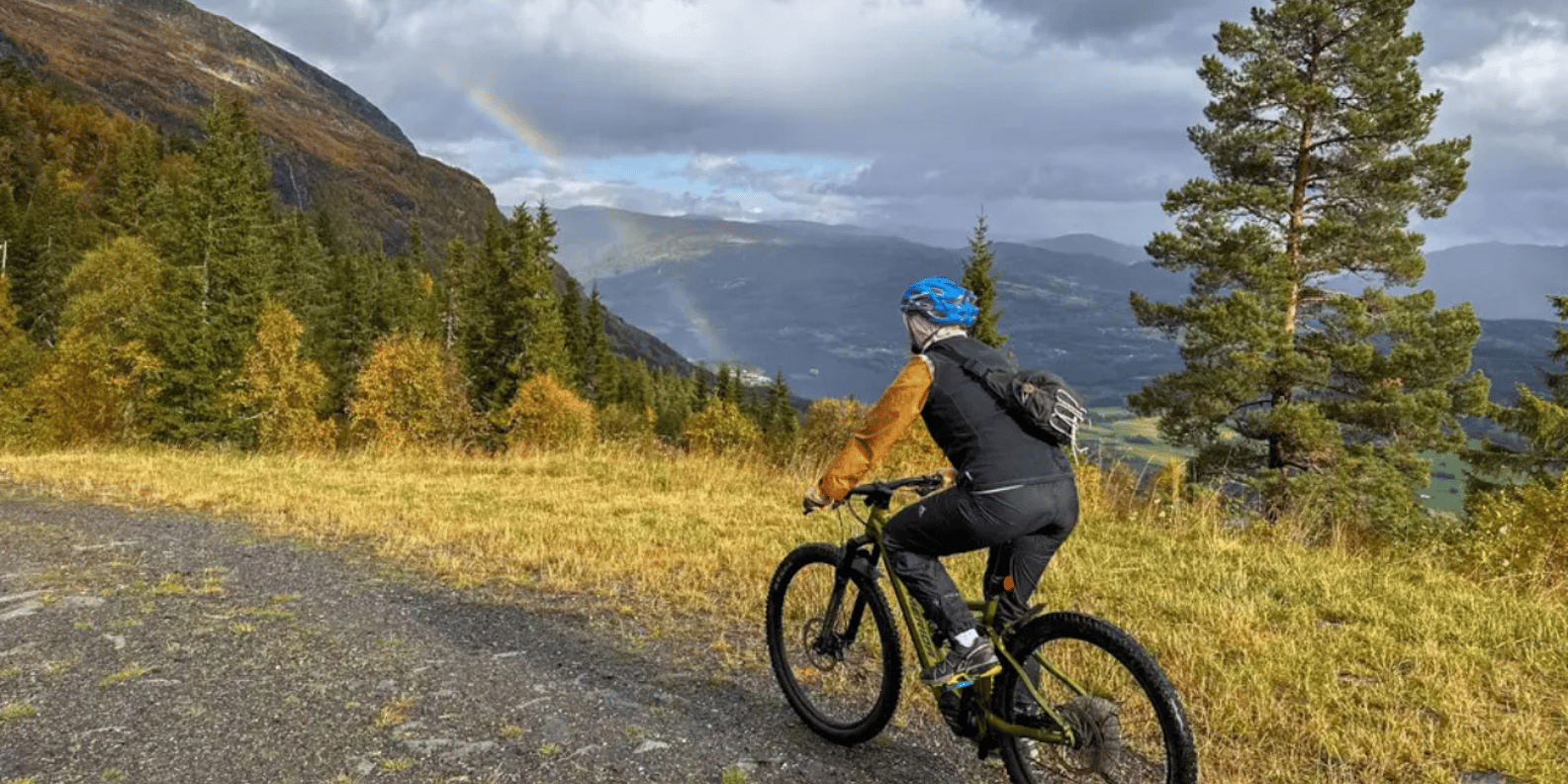 Noleggio E-Mountain Bike Sospensione completa GetYourGuide