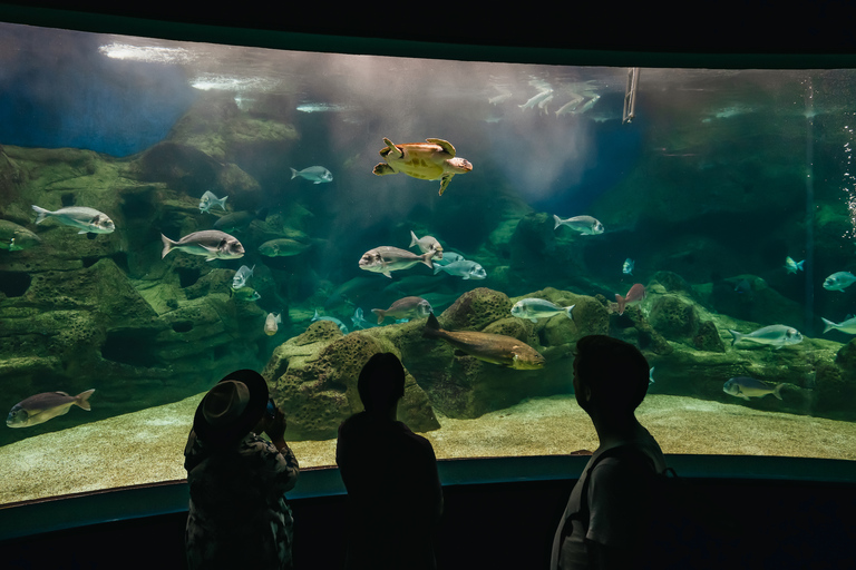 Heraklion Area: CRETAquarium Admission Ticket Skip-the-Line Admission Ticket