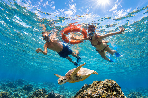 From Gili Air: Snorkelling Trip with Turtles, Statue & GoPro From Gili Air: Private Snorkelling Trip with Turtles & GoPro