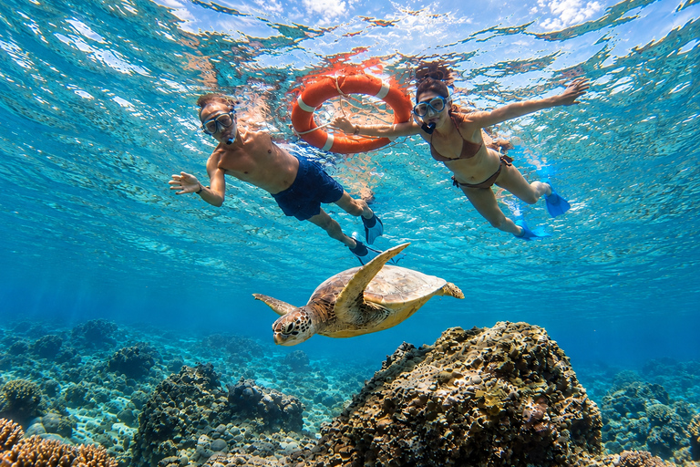 From Gili Air: Snorkelling Trip with Turtles, Statue & GoPro From Gili Air: Shared Snorkeling with Turtles, Statue &GoPro