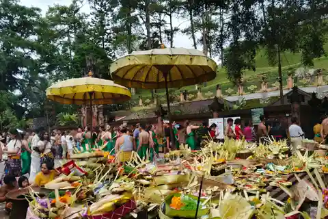 Ubud: Holy spring temple, Rice Terrace, and 2 Waterfall Trip
