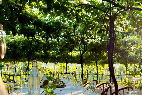 Vlore: Berat Day Trip with Wine Tasting Experience Vlore: Private Berat Day Trip with Wine Tasting Experience