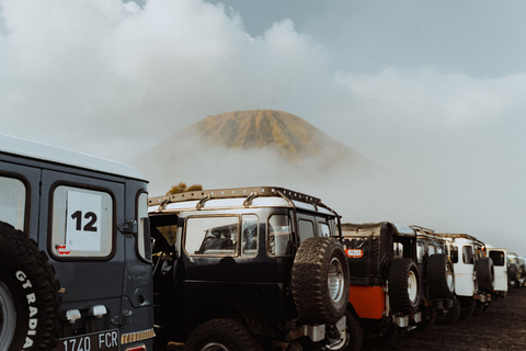 Surabaya/Malang/Probolinggo: 2D1N Bromo & Ijen W/ Bali drop Malang:2D1N budget sharing tour Bromo & Ijen W/ Bali dropoff