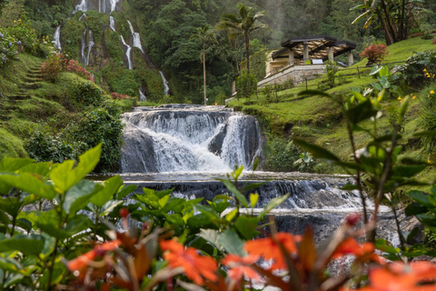 Cali: Wycieczka do Term Santa Rosa de Cabal | Wyjazd z CaliCali: Wycieczka do term Santa Rosa de Cabal | Wyjazd z Cali