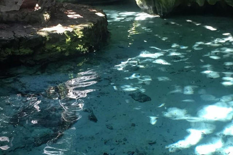 Cancun: 2 Cenotes, 1 strand och 1 lagun