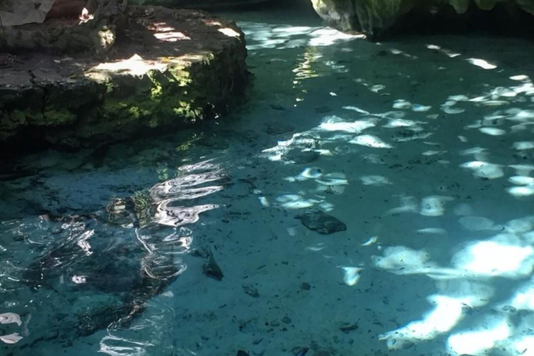 Cancun: 2 Cenotes, 1 strand och 1 lagun