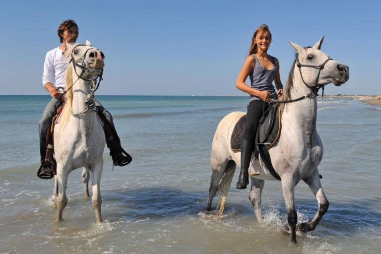 Antalya: Forest & Beach Horse Riding Safari