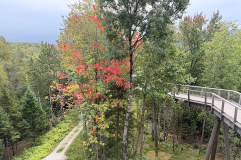 Mont-Tremblant: Private Day Trip with Treetop Walk & Gondola