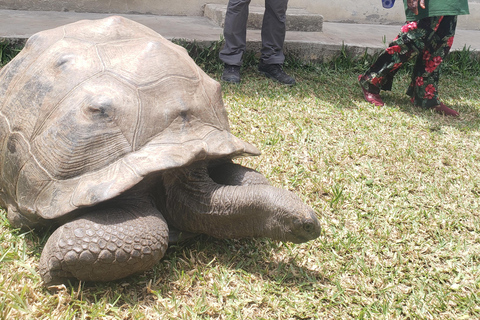 Zanzibar: całodniowa wycieczka do lasu JozaniWycieczka prywatna bez odbioru z hotelu i transportu powrotnego