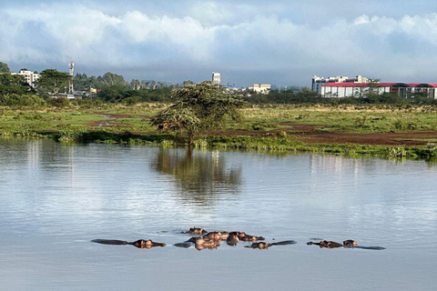 Nairobi National Park: Early Morning or afternoon adventure Early morning game drive in a Landcruiser JEEP