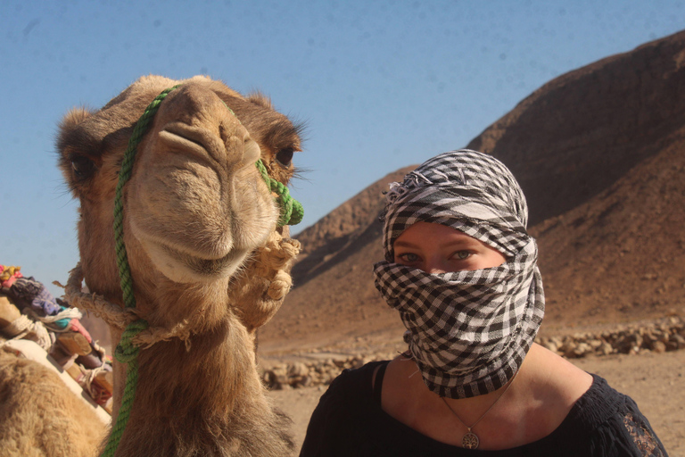 From El Gouna: Dry Canyon Quad Bike Morning Tour