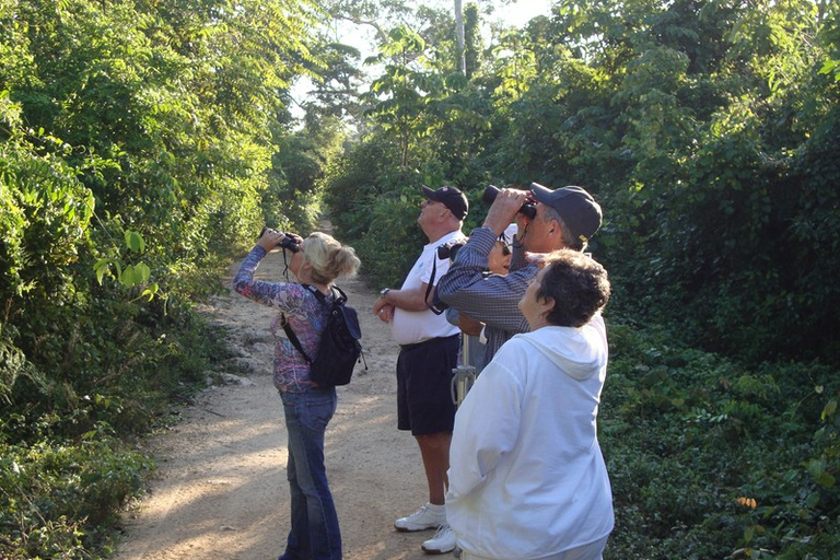 Riviera Maya: Puerto Morelos 4-Hour Bird Watching Tour