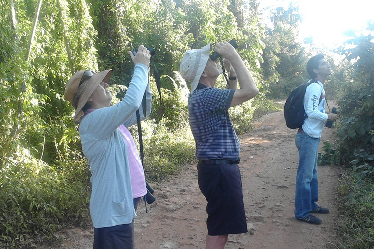 Riviera Maya: Puerto Morelos 4-Hour Bird Watching Tour