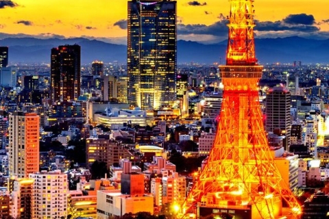 1 Day Private Charter Sightseeing Tour in Tokyo