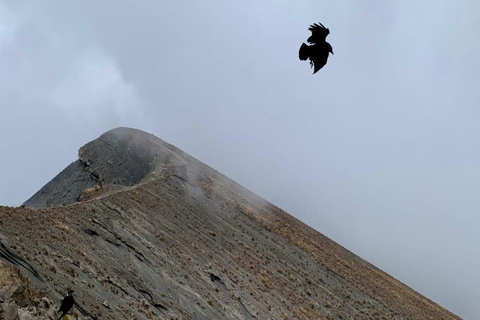 كليمنجارو: رحلة سيرًا على الأقدام في طريق مارانجو لمدة 7 أيام مع مكان إقامة في كوخكليمنجارو: رحلة ما