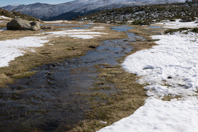 Północny Park Narodowy Tongariro i wędrówki na rakietach śnieżnych