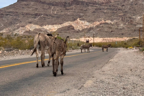 Route 66 Day Tour from Las Vegas: Oatman, Nelson & Kingman