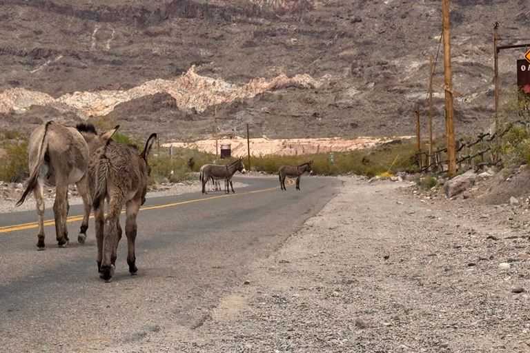 Route 66 Day Tour from Las Vegas: Oatman, Nelson & Kingman