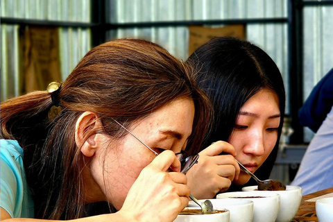 Boquete: Geisha Coffee Plantation Tour with Tasting