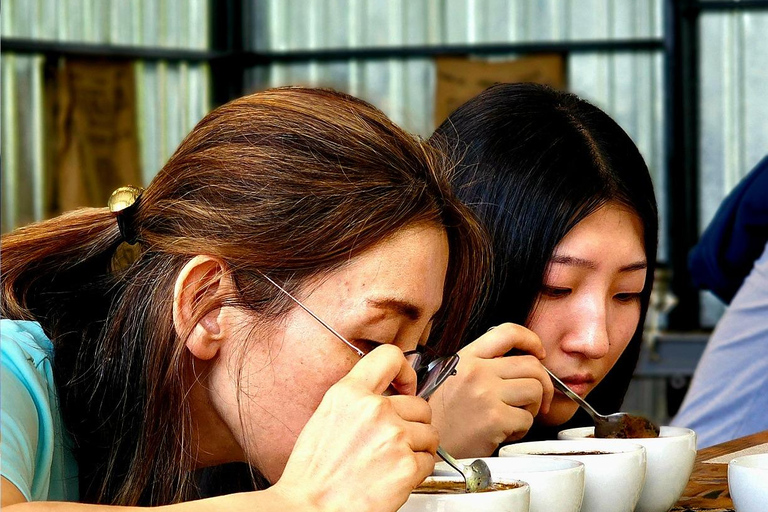 Boquete: Geisha Coffee Plantation Tour with Tasting