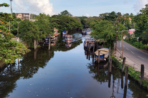 Alleppey: Crucero por los remansos en Shikkara